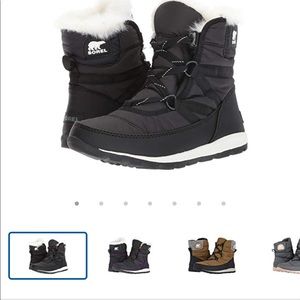 Sorel- Whitney Short Lace